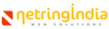 Netring India 2024 Logo